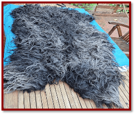 Wir Filzen ein Veggifell – 29.09.2023